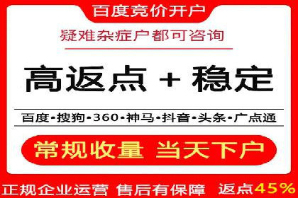 百度竞价排名案例解析：如何快速提升网站流量